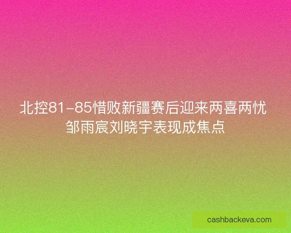 北控81-85惜败新疆赛后迎来两喜两忧 邹雨宸刘晓宇表现成焦点