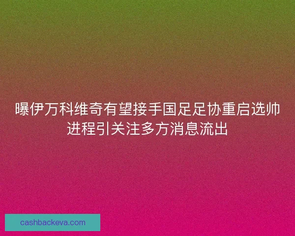 曝伊万科维奇有望接手国足足协重启选帅进程引关注多方消息流出